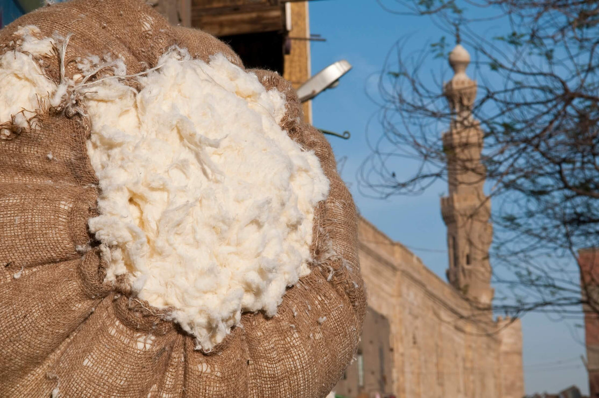 Selected Premium Wool