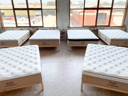 Sanctum Sleep